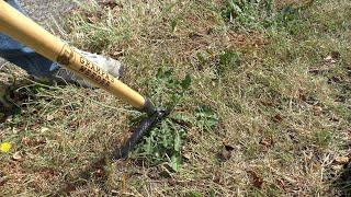 Grampa’s Weeder: Does it Really Work?