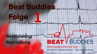 Beat Buddies Folge 1: Reizleitung und Reizbildung