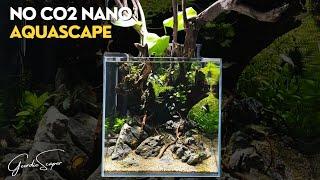 Step by Step Tutorial AQUASCAPE in 30cm Nano AQUARIUM | NO CO2 INJECTION