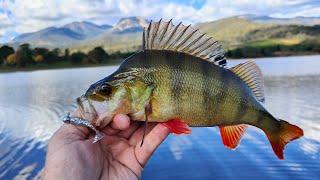 The fishing hat trick 3 fish in 3 casts