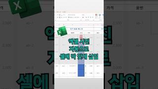 엑셀 사진 자동으로 셀에 딱 맞게 삽입하기 #엑셀실무 #엑셀팁 #excel
