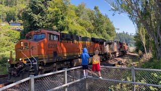 5 Trains On Our Summer Night At The Beach! BNSF, Amtrak + Sounder Trains! Let’s Go!