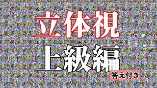 上級編 立体視 答え付き 視力回復トレーニング stereogram 平行法 parallel view[239]