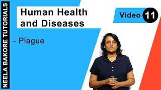 Biology For NEET & AIIMS | Human Health and Diseases - Plague