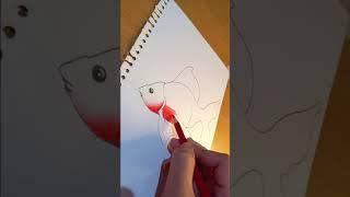 fish drawing || fish drawing step by step || fish colour pencil drawing