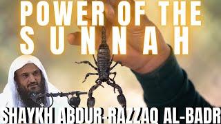 The POWER of the SUNNAH|Shaykh Abdur-Razzaq al-Badr