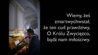 Niech w święto radosne / Sekwencja Wielkanocna (Lyric Video)