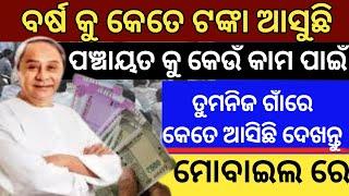 How To Check Panchayat Fund Details In Odisha |How To Cheack Panchayat Work Details