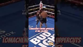 Vasiliy Lomachenko's Masterclass: Devastating Uppercuts on Devin Haney! #boxing #fight #mma