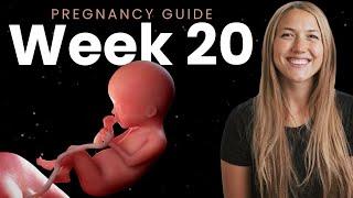 20 Weeks Pregnant | Week By Week Pregnancy