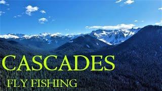 Fly Fishing in the Cascade Mountains of Washington State for Brook Trout & Rainbows #flyfishing