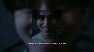 carter burwell — i know what you are [slowed + reverb] (twilight ost)