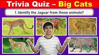 Big Cats QUIZ | How Much Do YOU Know About Lion | Tiger | Jaguar | Leopard | Cheetah?