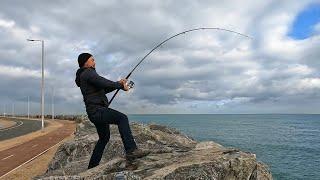 I caught a FISH and COOKED it North Mole Fremantle ️