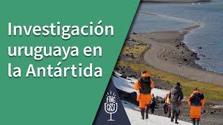 Investigación uruguaya en la Antártida | Fingcast 2024
