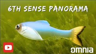 Unboxing and Rigging the New 6th Sense Panorama: Underwater Footage and Tips!