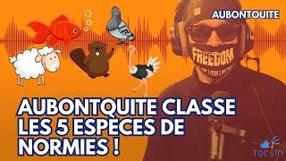 Du pigeon à l'autruche : AuBonTouite présente la ferme des normies ! - AuBonTouiteFrançais