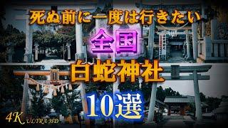 【2025年 巳年】必ず参拝したい神社