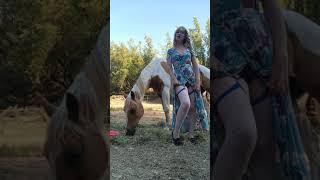 Dainty Rascal Dancing Welcomes New Horse to the Rescue - Ember