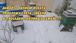 Слет пчёл, ослабление семей, Давайте начнем искать проблему слета, гибели и просадки пчёл