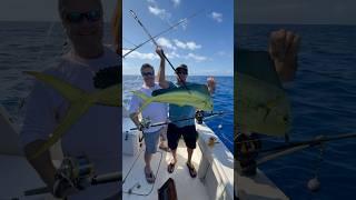 #beautiful #Mahi in the boat! #fishing #fish #fishingvideo #short #shorts #shortvideo #shortsfeed