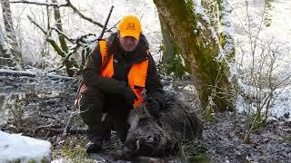 A day of hunting in France | Wild Boar Unlimited