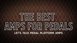 The Best Amps for Pedals. Dipped In Tone Episode 32