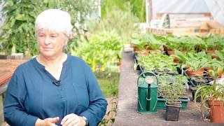 Biodynamic Gardening Club Video 01 - What is biodynamic gardening?