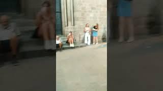 Jazz in the street #jazz #jazzsinger #street #musicshorts #shortsvideo #musicstreet #barcelona #sing