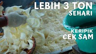 Sehari Lebih 3 Ton SINGKONG Untuk KERIPIK Cek Sam