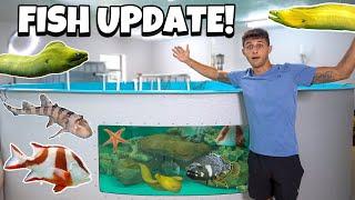 Feeding ALL My EXOTIC FISH + UPDATE!!