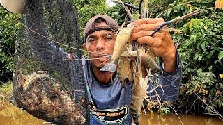 luar biase udang di akhir tahun ‼️(mancing  udang galah..spot sungai landak)