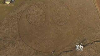 Sixth Grader And Father Make Massive 'Star Wars' Crop Circle In Livermore