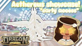 AETHEREUS SHOWCASE! *ANGEL DRAGON!* (test server) (Dragon Adventures, Roblox!)