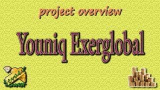 Youniq Exerglobal / Overview of the company