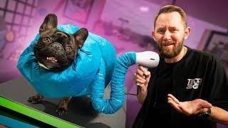 10 Useless Products People Actually Use on Their Pets!