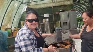 Honey Harvest at Tamborine Super Foods