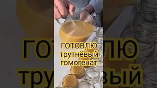 ГОМОГЕНАТ ПОЕХАЛ