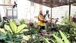 Tempat Rehabilitasi Tanaman Erna Garden