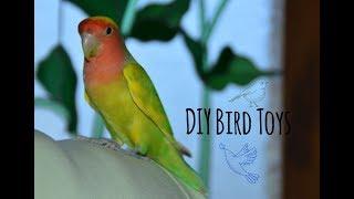 Bird Foraging Toys - DIY | Lollipop the Lovebird