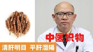 夏枯草的功效與作用【保健養生】生生不息