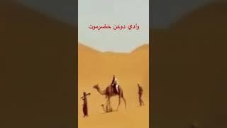 #وادي_دوعن #حضرموت