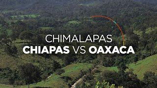 La SCJN resuelve históricamente a favor de los Chimalapas de Oaxaca y no de Chiapas