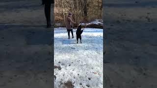 Парк Сергиевка. Разыгрался Рекс.