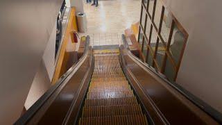 HAPPY ESCALATOR MONDAY!  HISTORIC Otis Wooden Escalators - Macy’s Herald Square - Manhattan NYC, NY