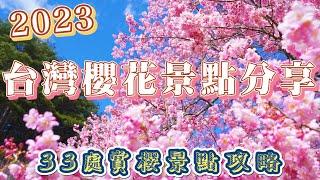 2023 台灣櫻花景點分享 I 33處賞櫻景點攻略 I 春櫻從1月中旬開始綻放 一直賞花到4月初 I 分享各景點的櫻花綻放時刻表