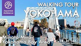 Walking Minato Mirai in Yokohama Bay Area,Kanagawa Walk [4K/Binaural Walking Tour]