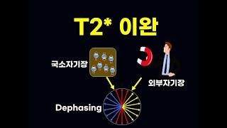 자기공명영상의 T2이완과 T2*이완