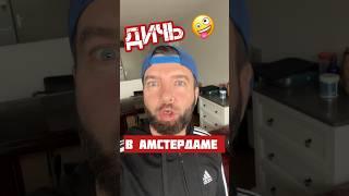 Полиция Амстердама Ездит На Лошадях! Эта И Другая Дичь Из Европы На Канале. Подпишись!