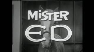 Mr. Ed Theme